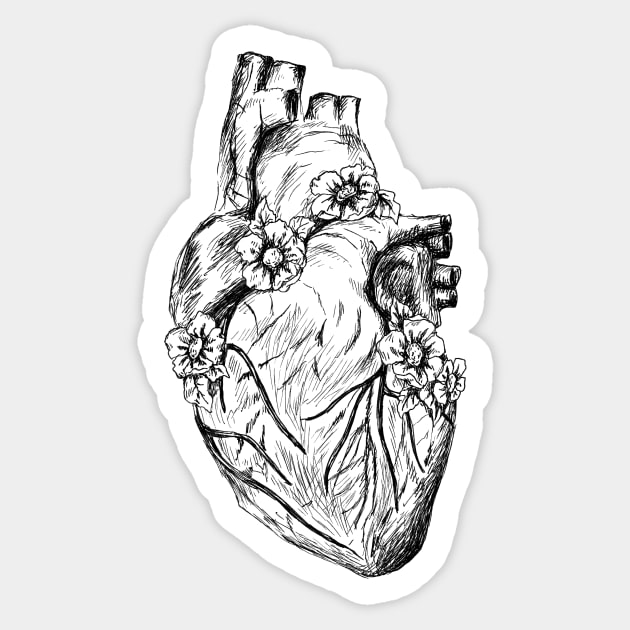 Human Heart Image Sticker by rachelsfinelines